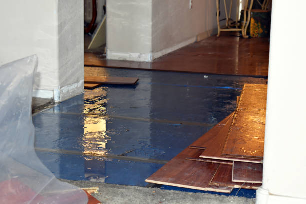 Professional Water Damage technician working in Hills, MN